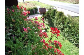 Alojamiento en casa particular Štôla 6